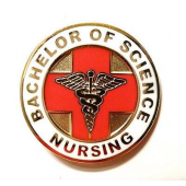 Bachelor Of Science In Nursing (BSN) | NursingSchoolsAlmanac.com